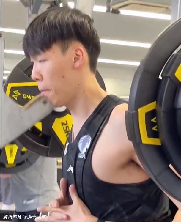 性欧美videofree