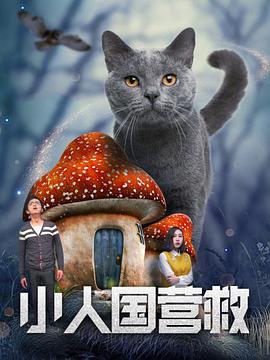 杂志的第一次经验
