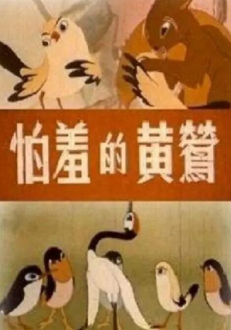天天操天天拍