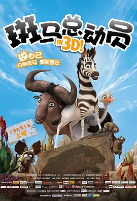 国产视频二区