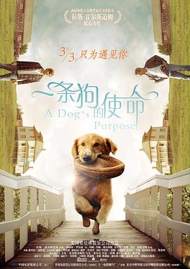 办公室的午餐