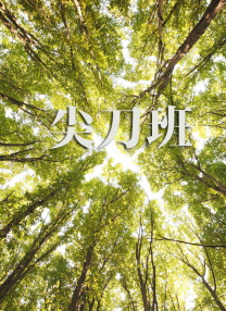 最好的中文字幕2018免费视频