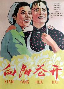 久久久综合视频