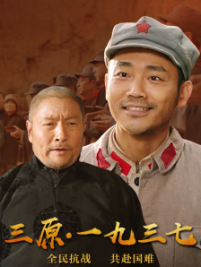 日本公与熄完整版