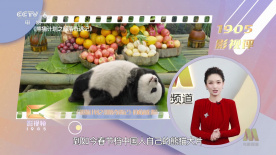 久久中文视频